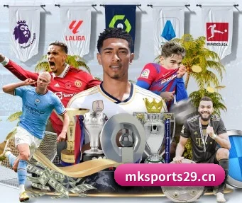 MK体育sports29 APP