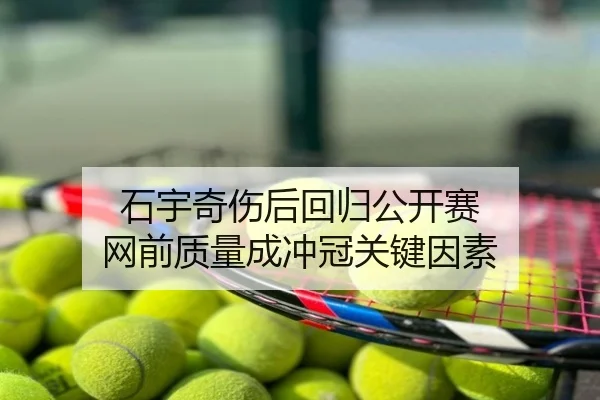 石宇奇伤后回归公开赛 网前质量成冲冠关键因素