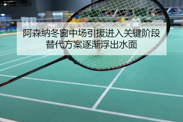阿森纳冬窗中场引援进入关键阶段 替代方案逐渐浮出水面